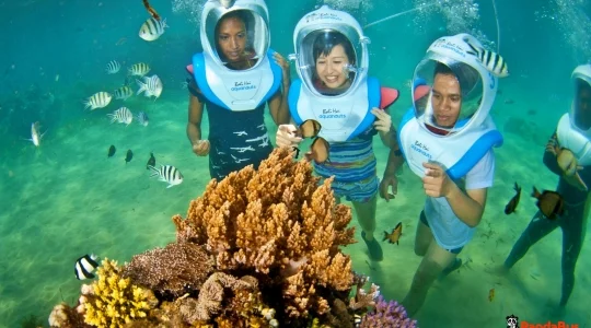 リーフクルーズ _04